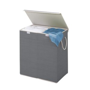 Resin Large Dual Laundry Hamper with Lid - Gray